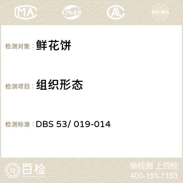 组织形态 鲜花饼 DBS 53/ 019-014 5.2