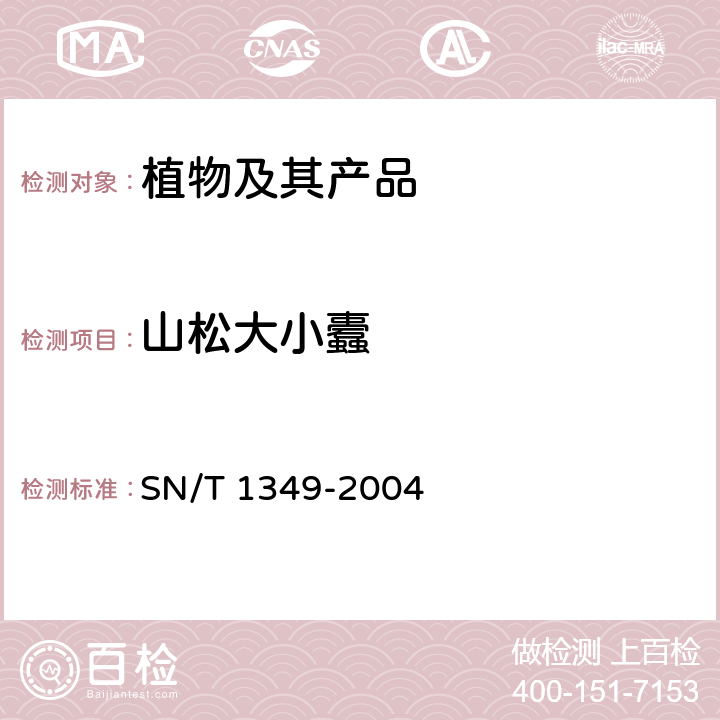 山松大小蠹 山松大小蠹鉴定方法 SN/T 1349-2004