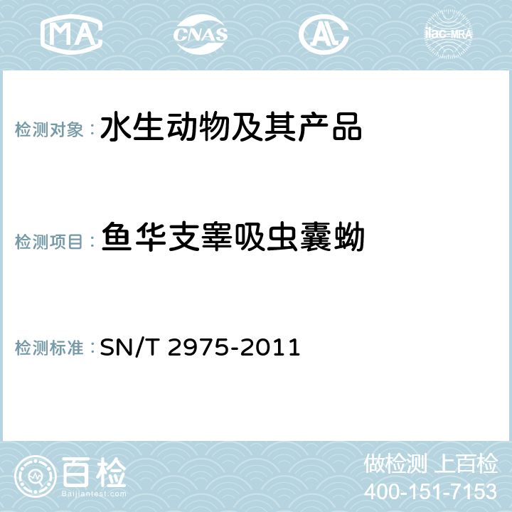 鱼华支睾吸虫囊蚴 鱼华支睾吸虫囊蚴鉴定方法 SN/T 2975-2011