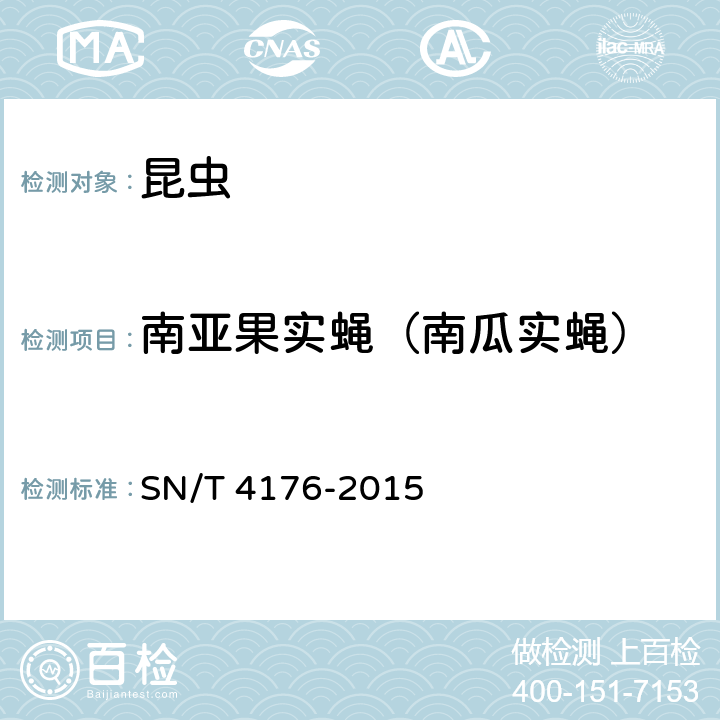 南亚果实蝇（南瓜实蝇） SN/T 4176-2015 南瓜实蝇检疫鉴定方法