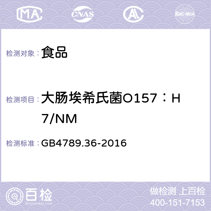 大肠埃希氏菌O157：H7/NM 食品卫生微生物学检验 大肠埃希氏菌O157:H7/NM检验 GB4789.36-2016