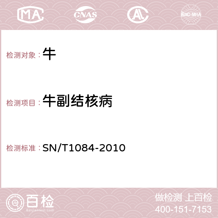 牛副结核病 牛副结核病检疫技术规范 SN/T1084-2010 7、11、12