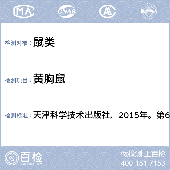 黄胸鼠 《中国国境口岸医学媒介生物鉴定图谱》 天津科学技术出版社，2015年。第62页