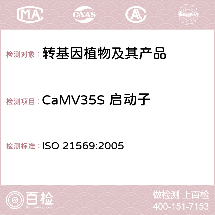 CaMV35S 启动子 ISO 21569-2005 食品  转基因生物及其衍生物的检测分析方法  定性核酸法