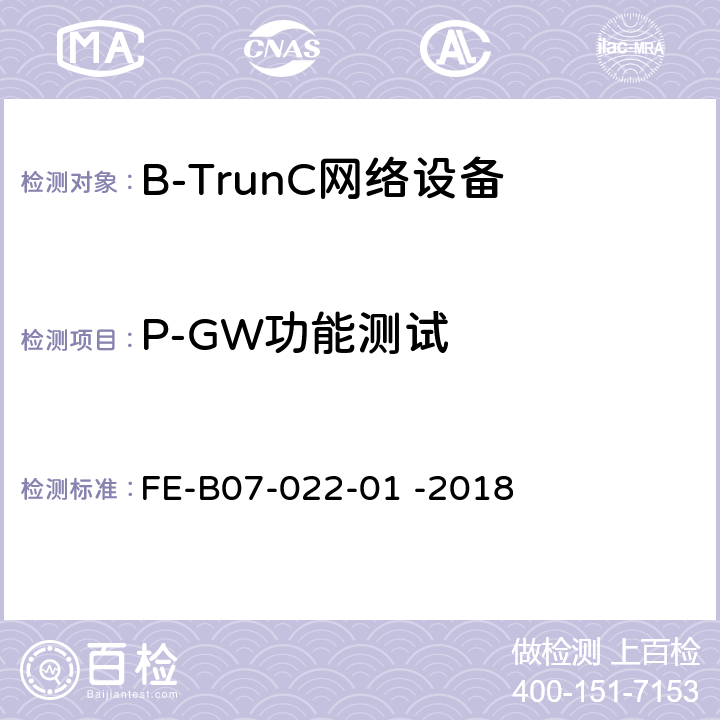 P-GW功能测试 核心网设备（宽带数据）R2检验规程 FE-B07-022-01 -2018 7