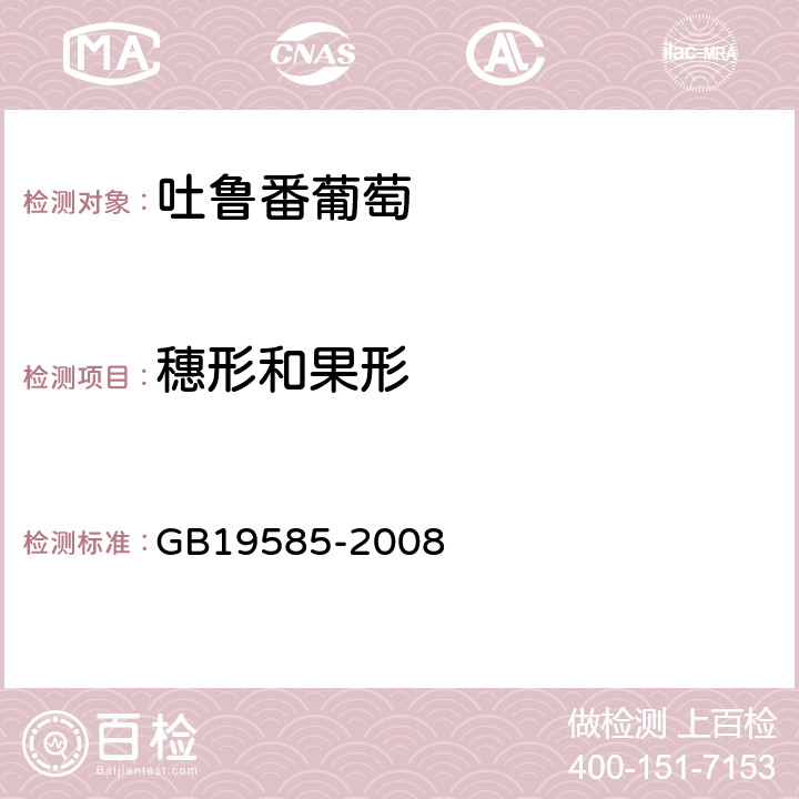 穗形和果形 GB/T 19585-2008 地理标志产品 吐鲁番葡萄