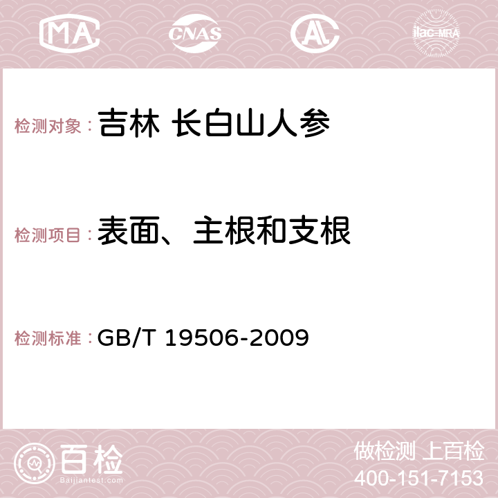 表面、主根和支根 地理标志产品 吉林长白山人参 GB/T 19506-2009 7.2.1.13