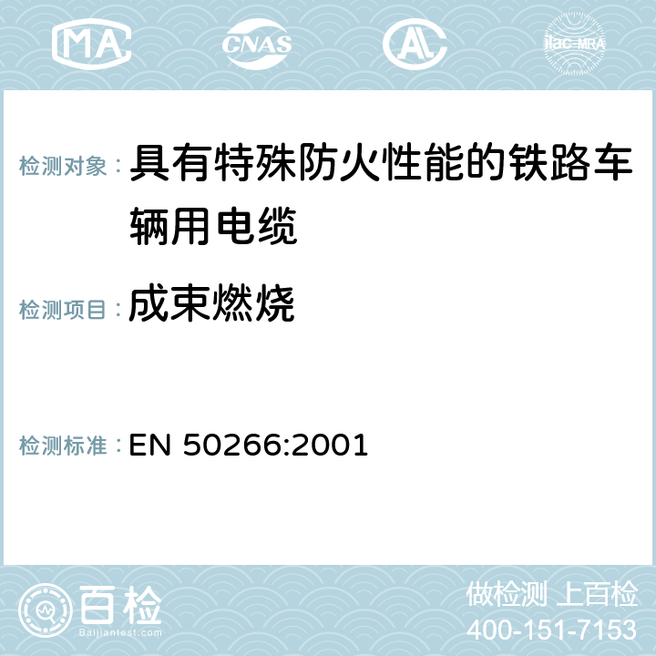 成束燃烧 EN 50266:2001 成束电线或电缆的火焰垂直传播测试 