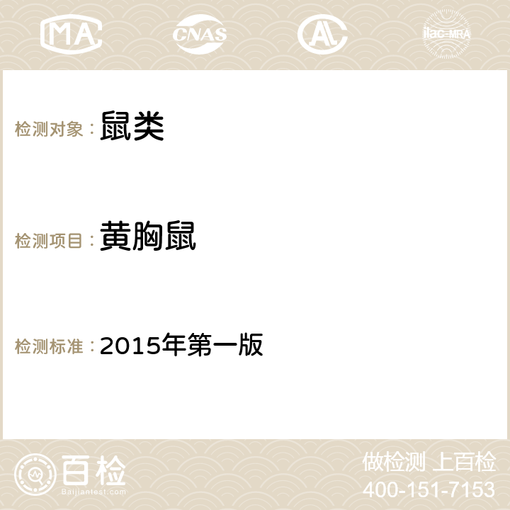 黄胸鼠 2015年第一版 《中国国境口岸医学媒介生物鉴定图谱》，第六十二页 
