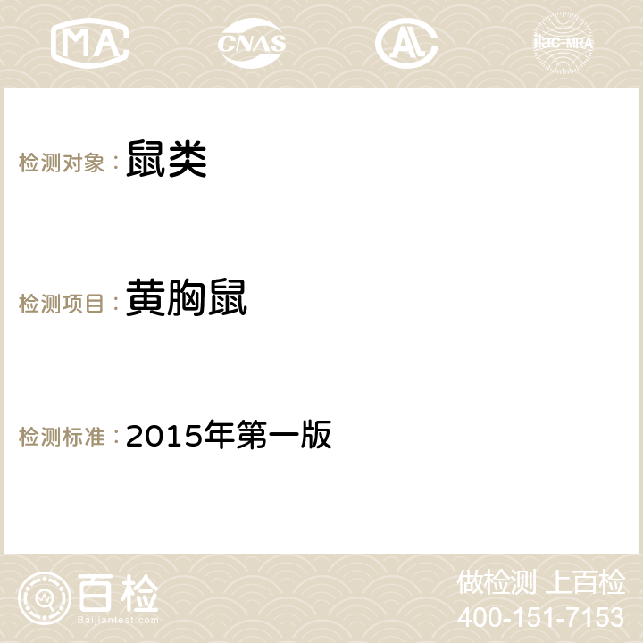 黄胸鼠 《中国国境口岸医学媒介生物鉴定图谱》，第六十二页 2015年第一版