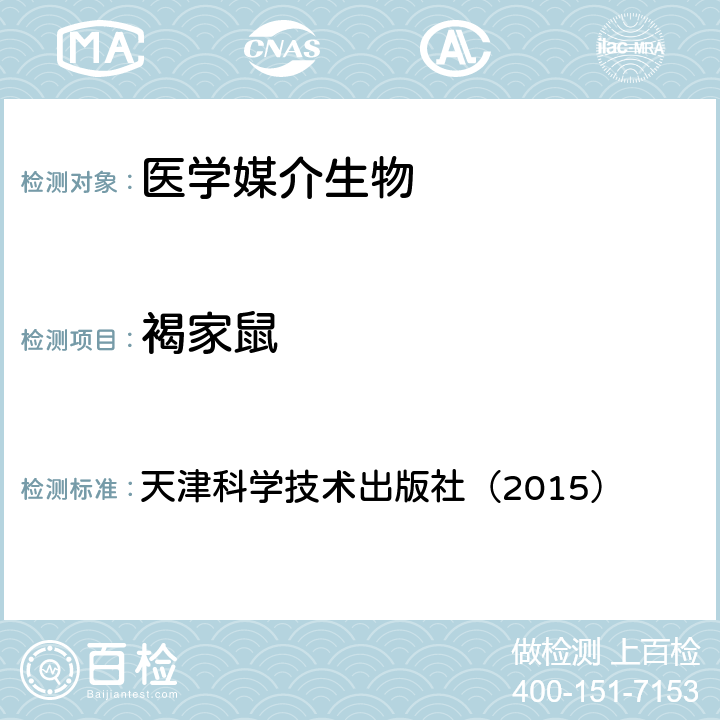 褐家鼠 天津科学技术出版社（2015） 《中国国境口岸医学媒介生物鉴定图谱》  64页