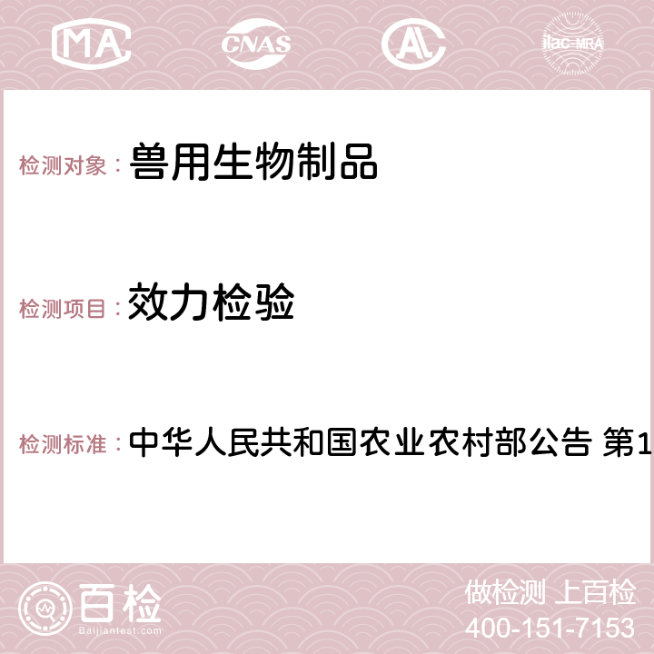 效力检验 动物法 猪口蹄疫O型、A型二价灭活疫苗（OHM/02 株+ AKT-III 株）制造与检验试行规程 中华人民共和国农业农村部公告 第129号 附件2 3.7