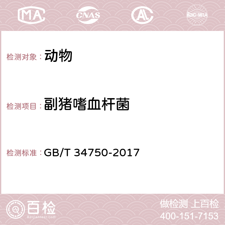副猪嗜血杆菌 副猪嗜血杆菌检测方法 GB/T 34750-2017 /7 和 8