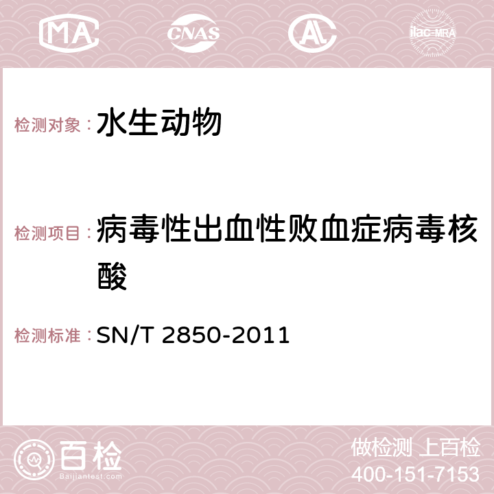 病毒性出血性败血症病毒核酸 病毒性出血性败血症检疫技术规范 SN/T 2850-2011