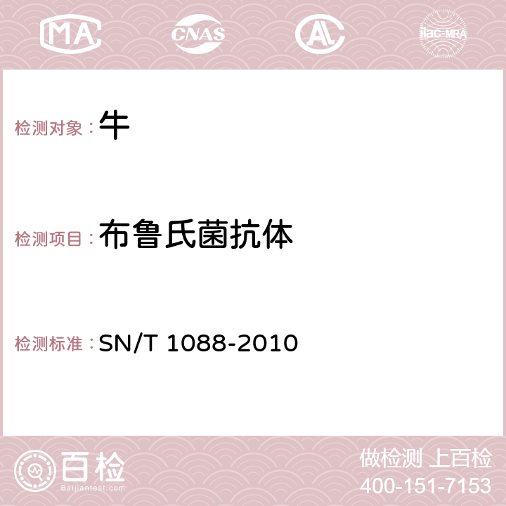 布鲁氏菌抗体 牛布氏杆菌检疫技术规范 SN/T 1088-2010