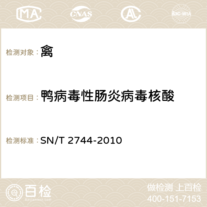 鸭病毒性肠炎病毒核酸 鸭病毒性肠炎检疫技术规范 SN/T 2744-2010 4.4
