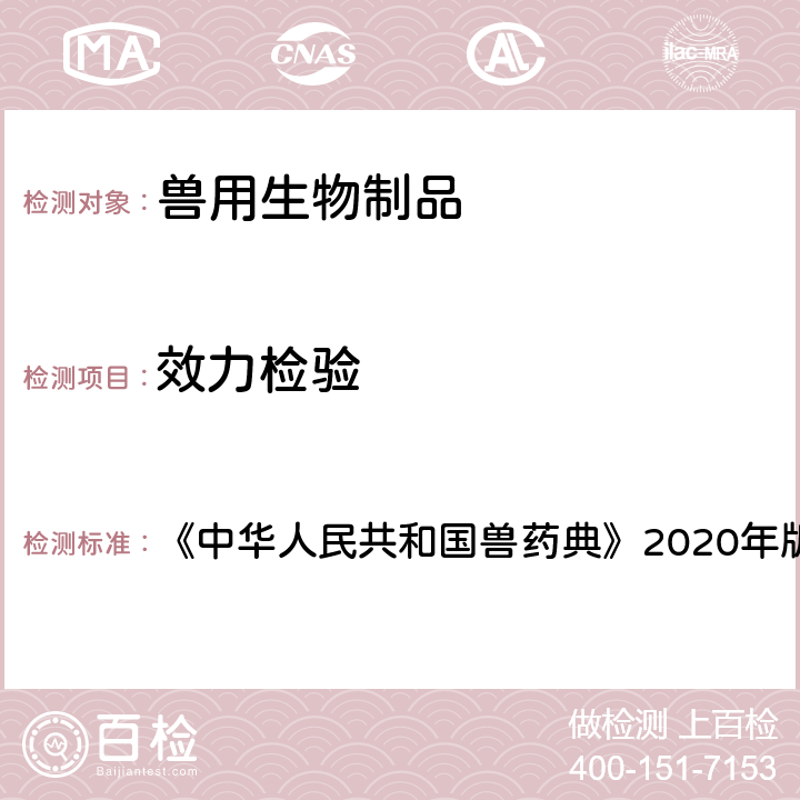 效力检验 猪丹毒活疫苗 《中华人民共和国兽药典》2020年版三部