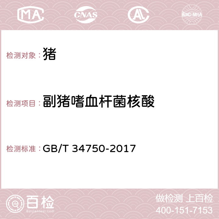 副猪嗜血杆菌核酸 副猪嗜血杆菌检测方法 GB/T 34750-2017 7
