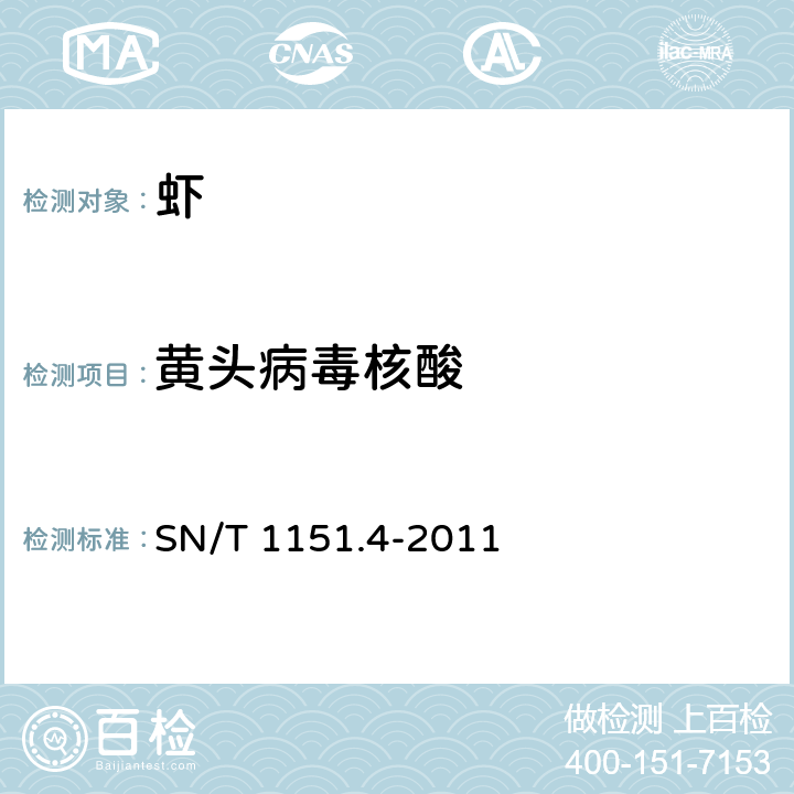黄头病毒核酸 SN/T 1151.4-2011 虾黄头病检疫技术规范