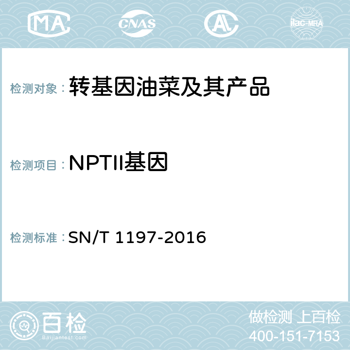 NPTII基因 油菜中转基因成分检测 普通PCR和实时荧光PCR方法  SN/T 1197-2016