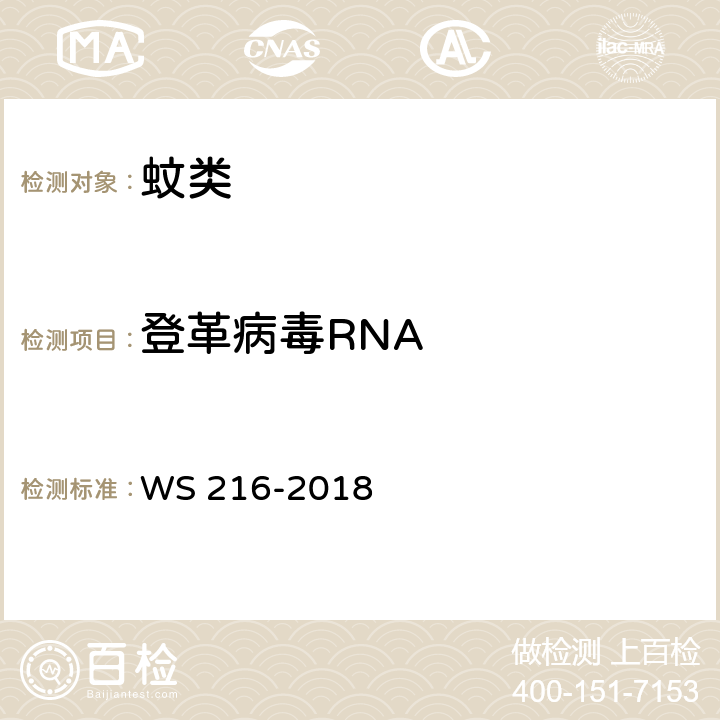 登革病毒RNA 登革热诊断 WS 216-2018 附录 B.3，B.4
