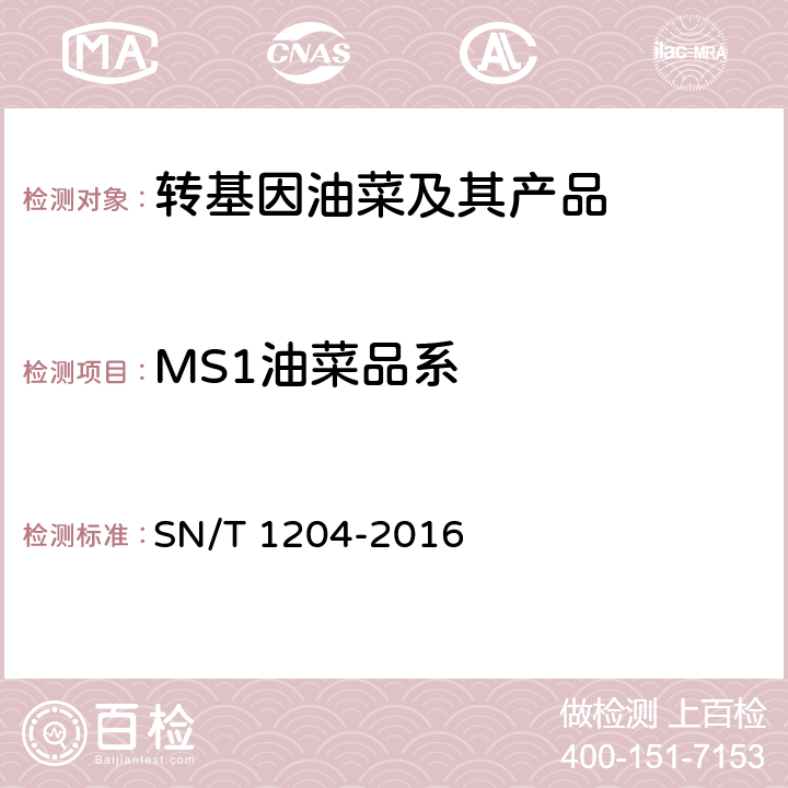 MS1油菜品系 植物及其加工产品中转基因成分实时荧光PCR定性检验方法 SN/T 1204-2016