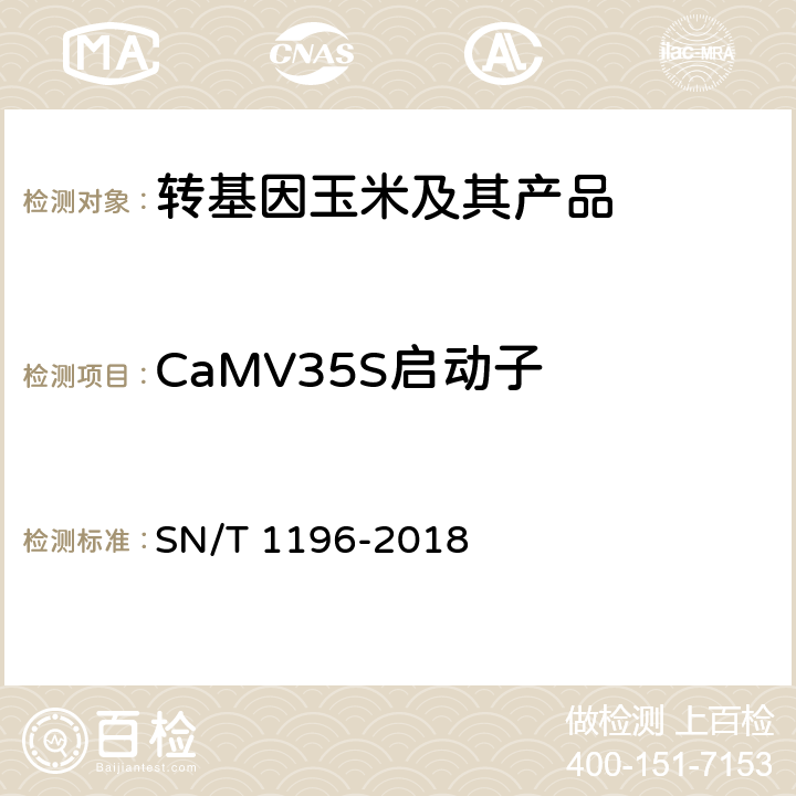 CaMV35S启动子 转基因成分检测 玉米检测方法 SN/T 1196-2018