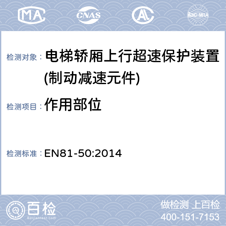 作用部位 电梯制造和安装用安全规则 检查和试验 第50部分: 电梯部件的设计规则 计算 检查以及试验 EN81-50:2014