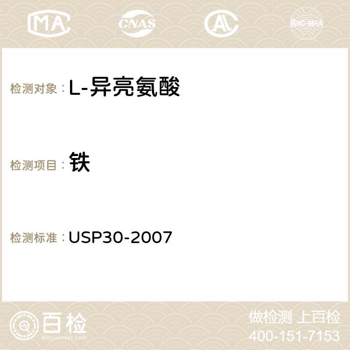 铁 美国药典 USP30-2007 L-异亮氨酸