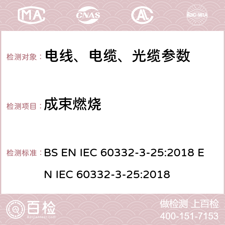 成束燃烧 电缆和光缆在火焰条件下的燃烧试验 第3-25部分：垂直安装的成束电线电缆火焰垂直蔓延试验D类 BS EN IEC 60332-3-25:2018 EN IEC 60332-3-25:2018