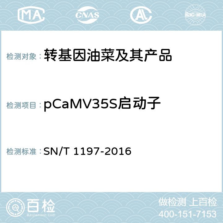 pCaMV35S启动子 油菜中转基因成分检测 普通PCR和实时荧光PCR方法  SN/T 1197-2016