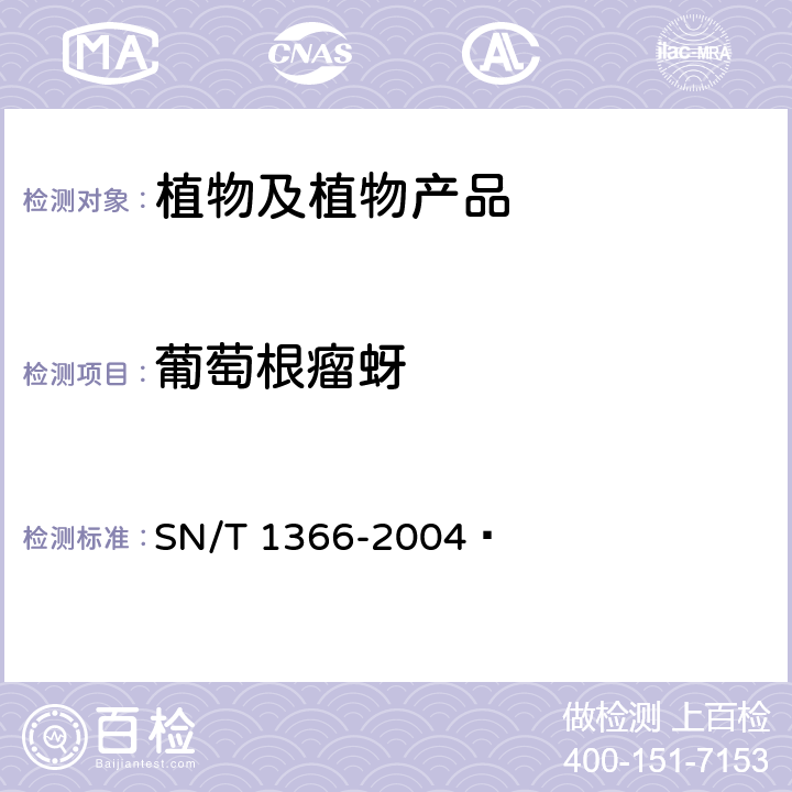 葡萄根瘤蚜 葡萄根瘤蚜的检疫鉴定方法 SN/T 1366-2004 