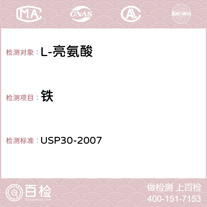 铁 美国药典 USP30-2007 L-亮氨酸