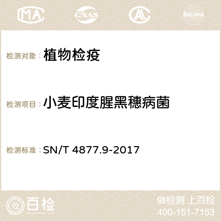 小麦印度腥黑穗病菌 SN/T 4877.9-2017 基因条形码筛查方法 第9部分:检疫性腥黑粉菌