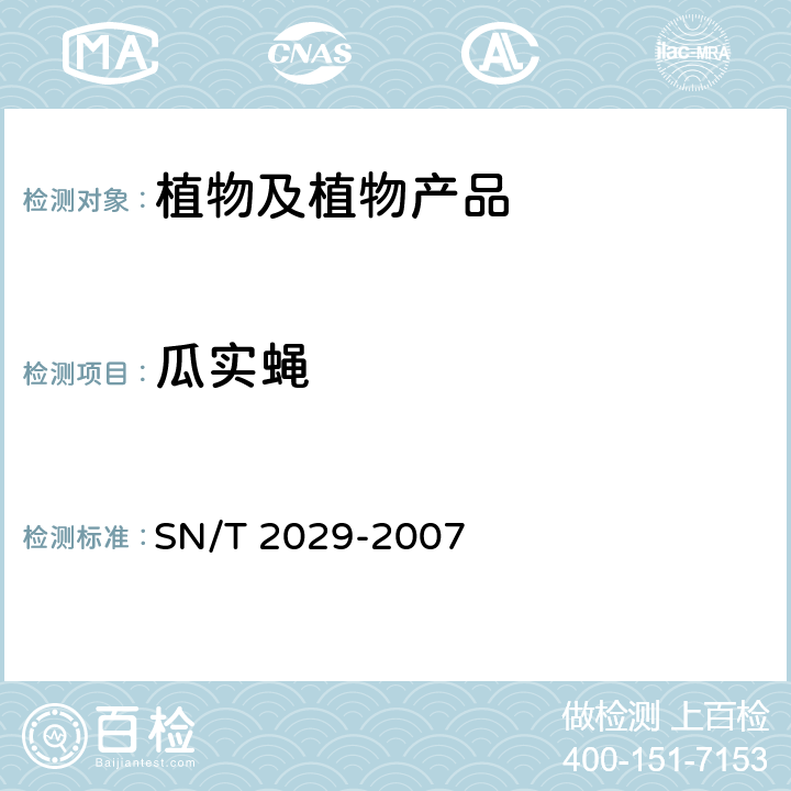 瓜实蝇 实蝇监测方法 SN/T 2029-2007