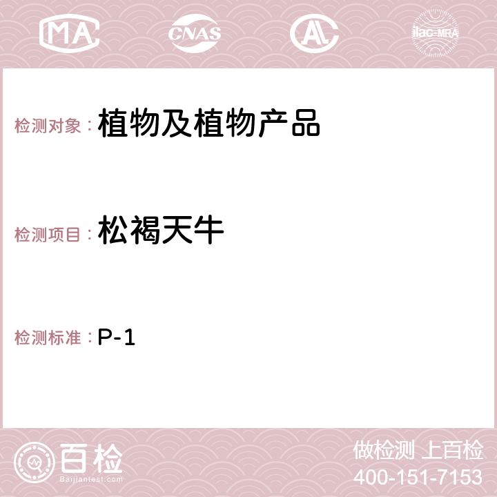 松褐天牛 中国进出境植物检疫手册7.2.15松褐天牛的检验与鉴定 P-1