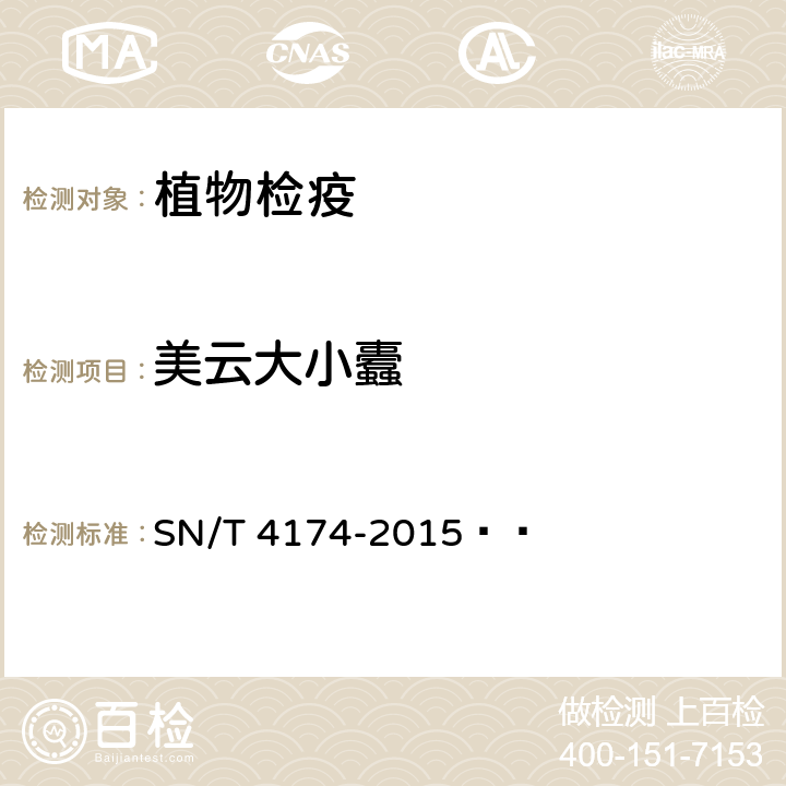 美云大小蠹 美云大小蠹检疫鉴定方法 SN/T 4174-2015  