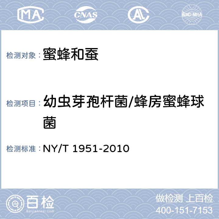 幼虫芽孢杆菌/蜂房蜜蜂球菌 NY/T 1951-2010 蜜蜂幼虫腐臭病诊断技术规范