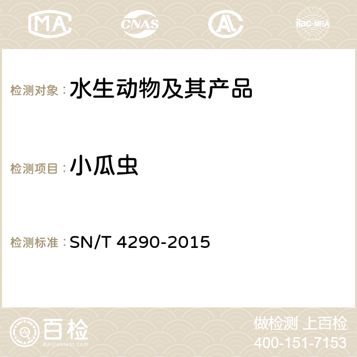 小瓜虫 SN/T 4290-2015 多子小瓜虫检疫技术规范