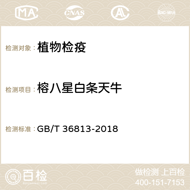 榕八星白条天牛 GB/T 36813-2018 白条天牛(非中国种)检疫鉴定方法