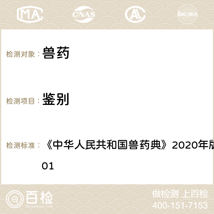 鉴别 纸色谱法 《中华人民共和国兽药典》2020年版一部/二部附录0501