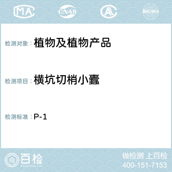 横坑切梢小蠹 中国进出境植物检疫手册 7.2.3.2 横坑切梢小蠹的检验与鉴定 P-1