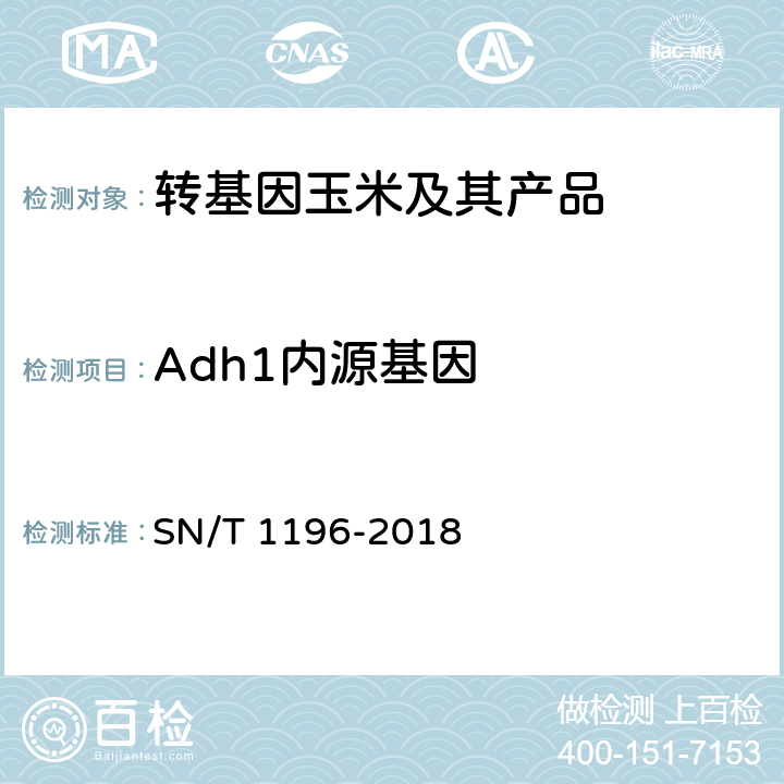 Adh1内源基因 转基因成分检测 玉米检测方法 SN/T 1196-2018