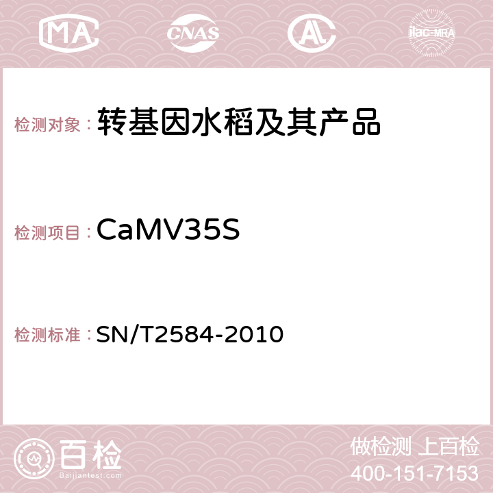 CaMV35S 水稻及其产品中转基因成分实时荧光PCR检测方法 SN/T2584-2010