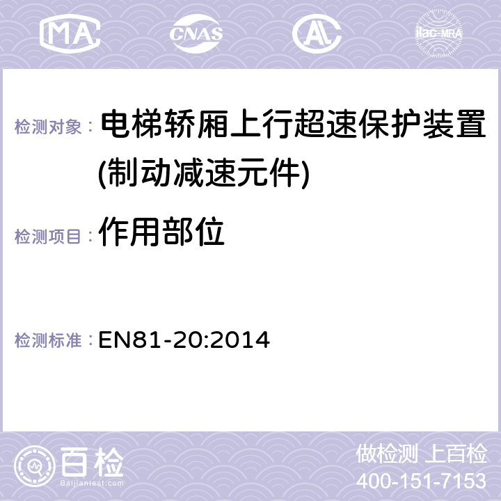 作用部位 电梯制造和安装用安全规则 人和货物的运输用电梯 第20部分: 乘客和客货电梯 EN81-20:2014