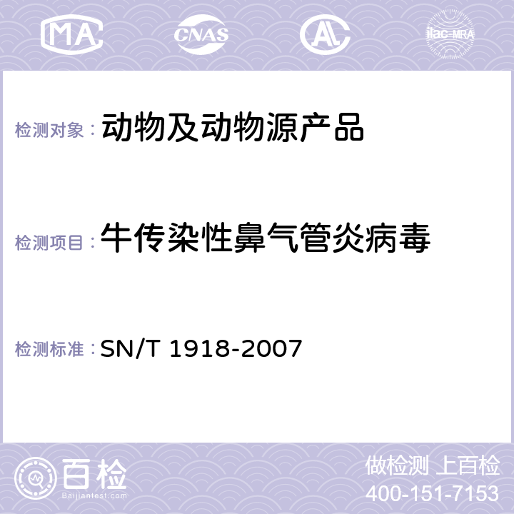 牛传染性鼻气管炎病毒 牛传染性鼻气管炎聚合酶链反应操作规程 SN/T 1918-2007