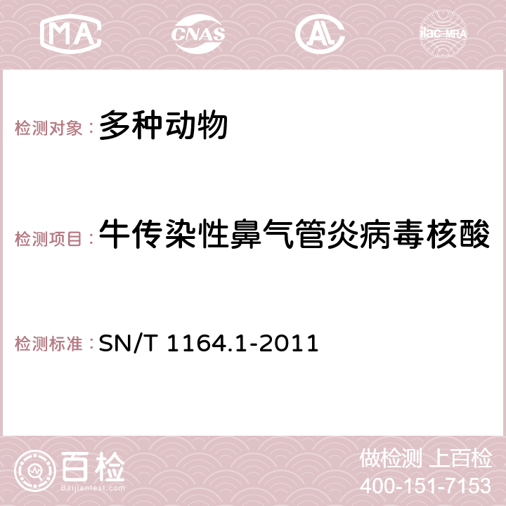 牛传染性鼻气管炎病毒核酸 牛传染性鼻气管炎检疫技术规范 SN/T 1164.1-2011 4.5