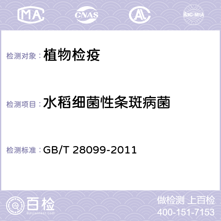 水稻细菌性条斑病菌 水稻细菌性条斑病菌的检疫鉴定方法 GB/T 28099-2011 7.3.3