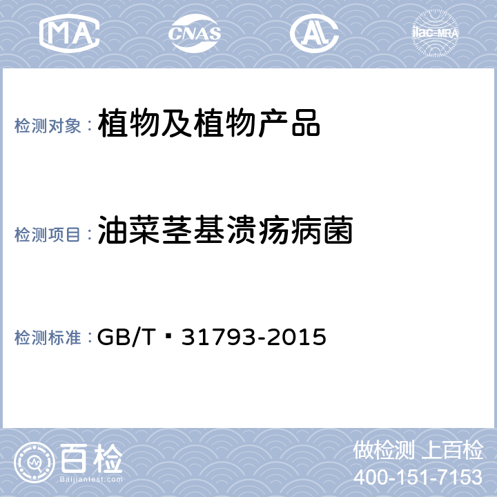 油菜茎基溃疡病菌 油菜茎基溃疡病菌检疫鉴定方法 GB/T 31793-2015