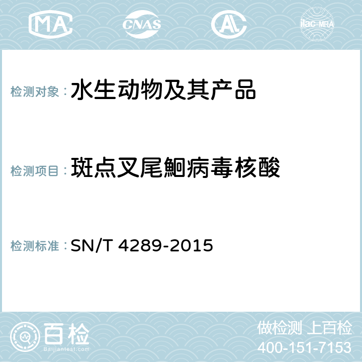 斑点叉尾鮰病毒核酸 SN/T 4289-2015 斑点叉尾鮰病毒病检疫技术规范